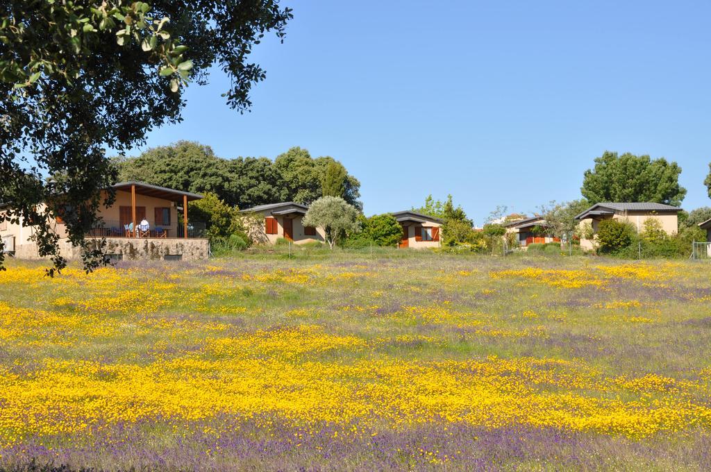 Gasthaus La Cerca Del Alcornoque Casas de Belvis Exterior foto
