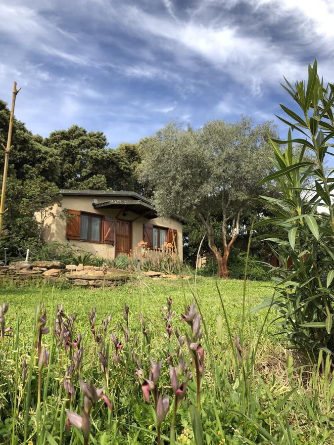 Gasthaus La Cerca Del Alcornoque Casas de Belvis Exterior foto